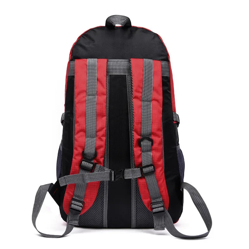 Large backpack