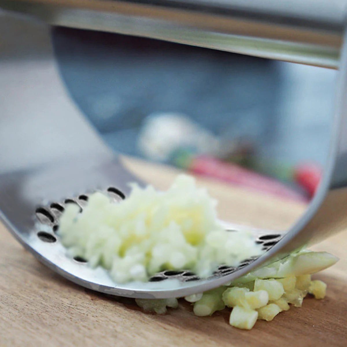 Stainless Steel Garlic Press